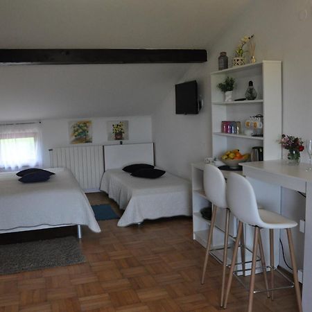 Guest House Most Buzet Exterior photo